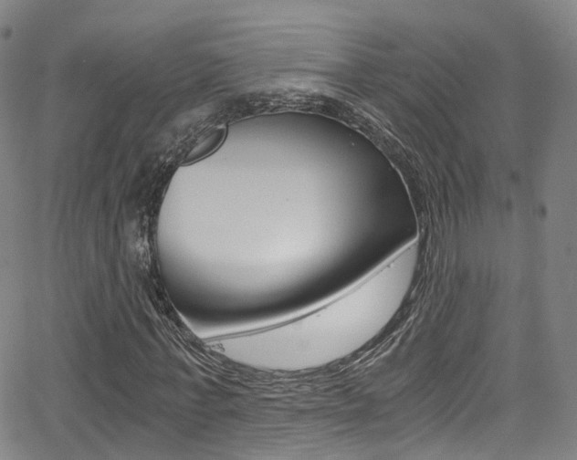 X0000062920771200601131131