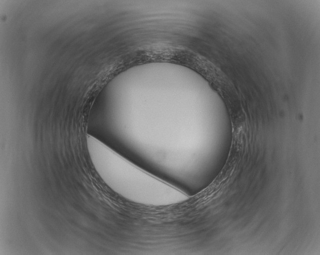 X0000062920772200601131131