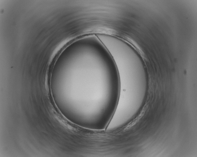 X0000062920788200601131131