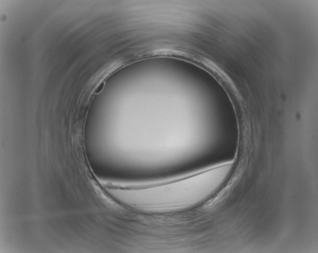 X0000062920801200601131131