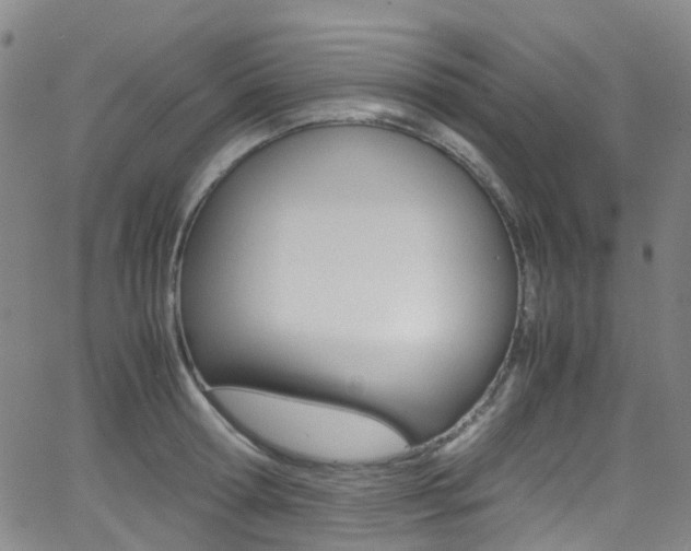 X0000062920802200601131131