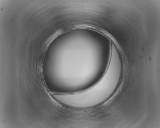 X0000062920809200601131130