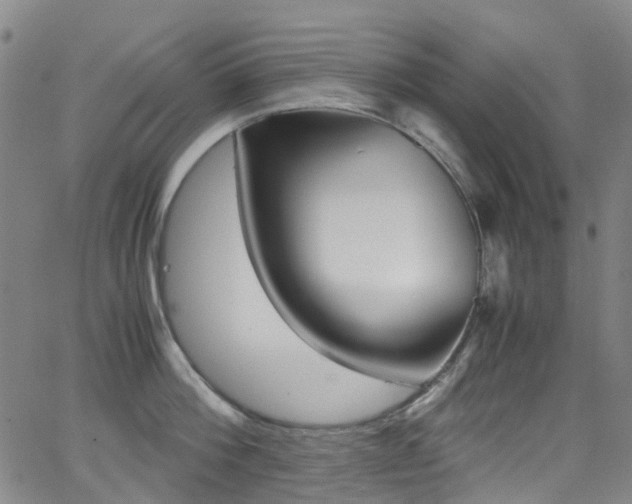 X0000062920812200601131130