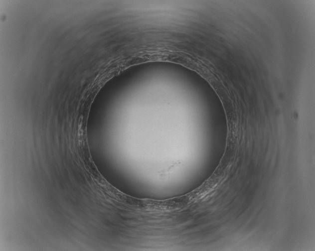 X0000062920818200601131130