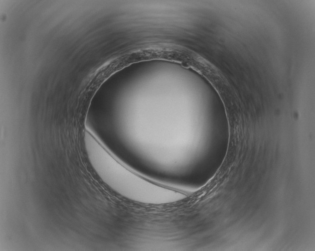 X0000062920822200601131130