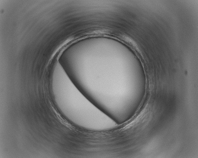 X0000062920827200601131130