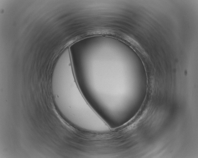 X0000062920841200601131130
