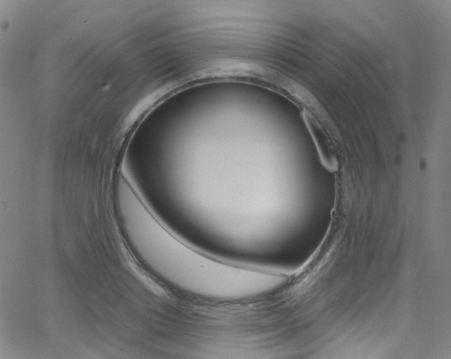 X0000062920842200601131130