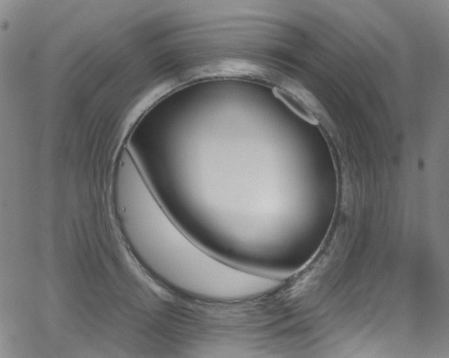 X0000062920850200601131130