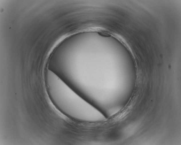 X0000062920851200601131130