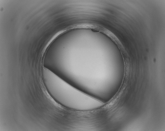 X0000062920852200601131130