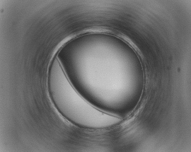 X0000062920853200601131130