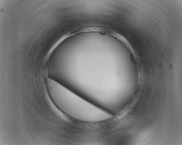 X0000062920859200601131130