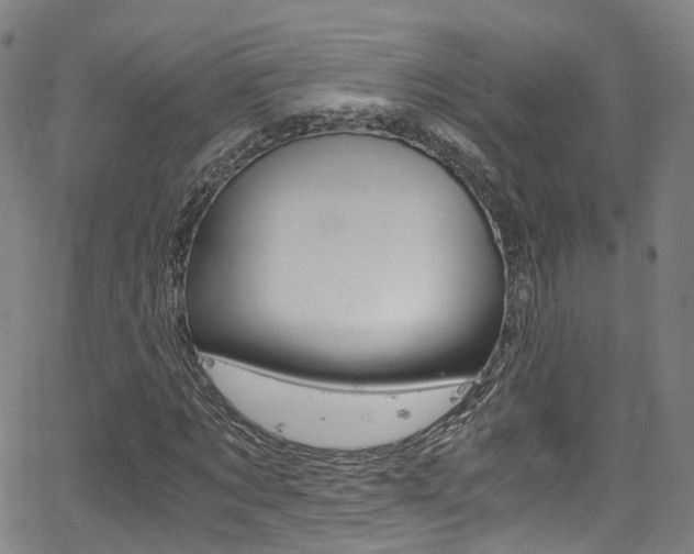 X0000062920869200601131129