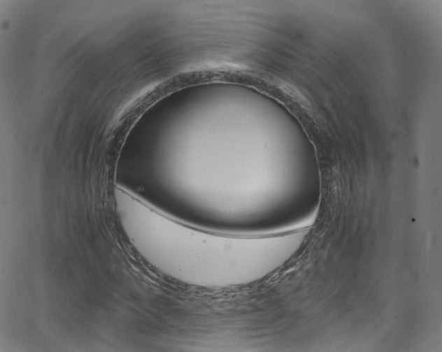 X0000062920872200601131129