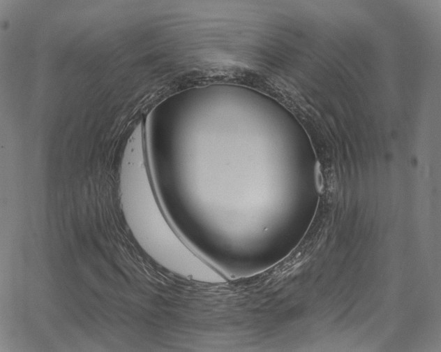 X0000062920916200601131128