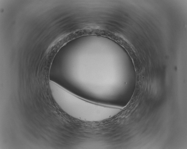 X0000062920919200601131128