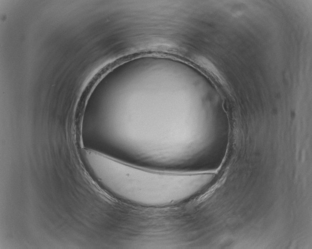 X0000062920924200601131128