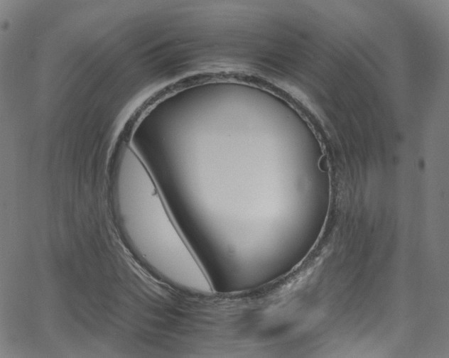 X0000062920927200601131128