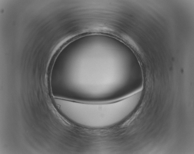 X0000062920932200601131128