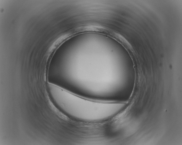 X0000062920938200601131128