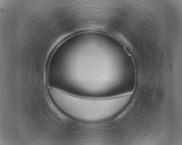 X0000062920940200601131128