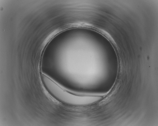 X0000062920946200601131128