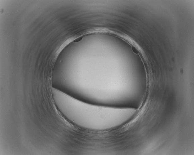 X0000062920953200601131129