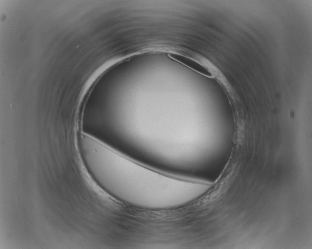 X0000062920955200601131129