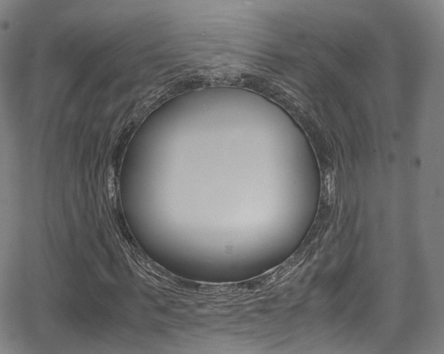 X0000062920963200601131128