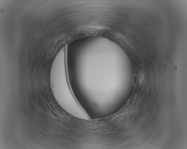 X0000062920964200601131128