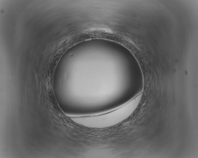 X0000062920965200601131128