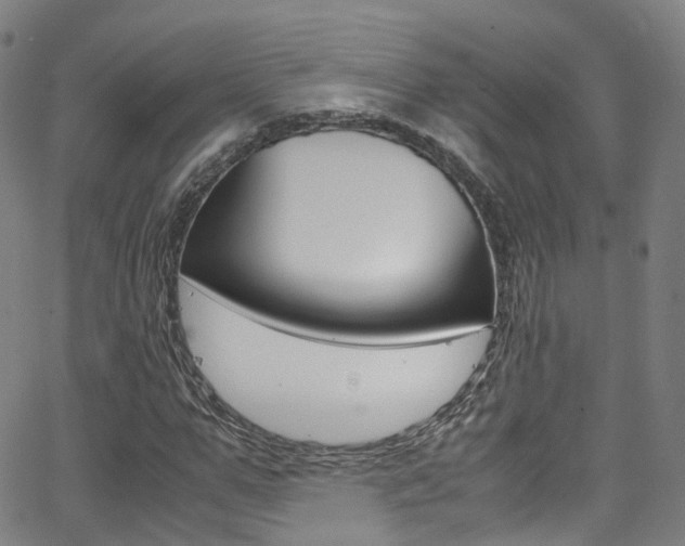 X0000062920967200601131128