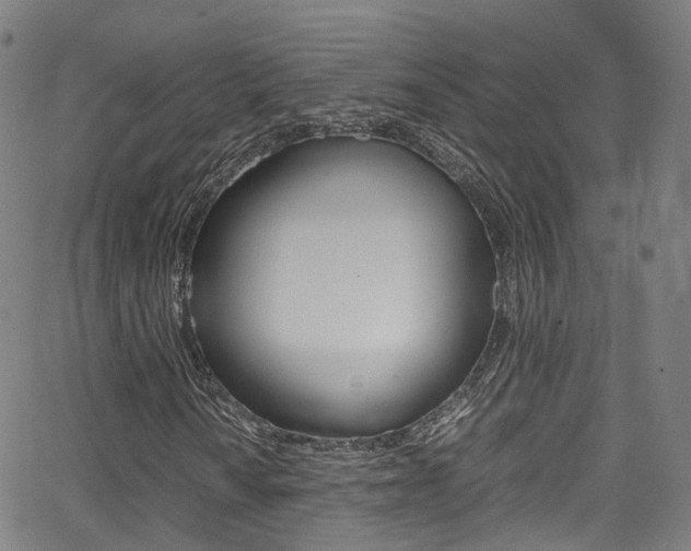 X0000062921010200601131126