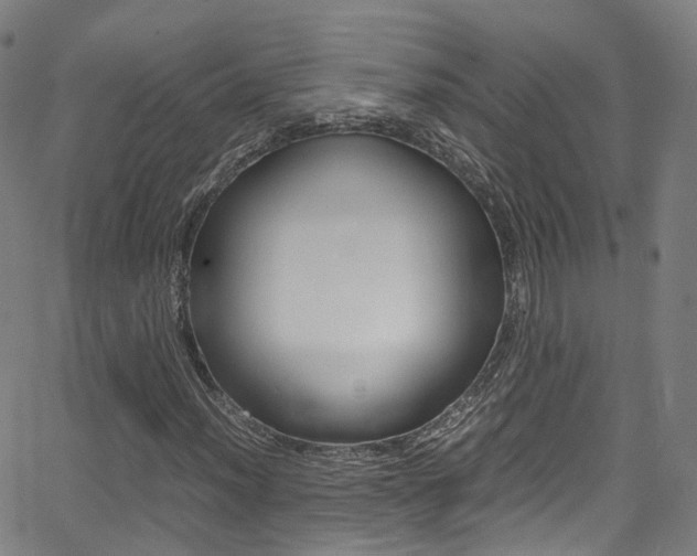 X0000062921012200601131126