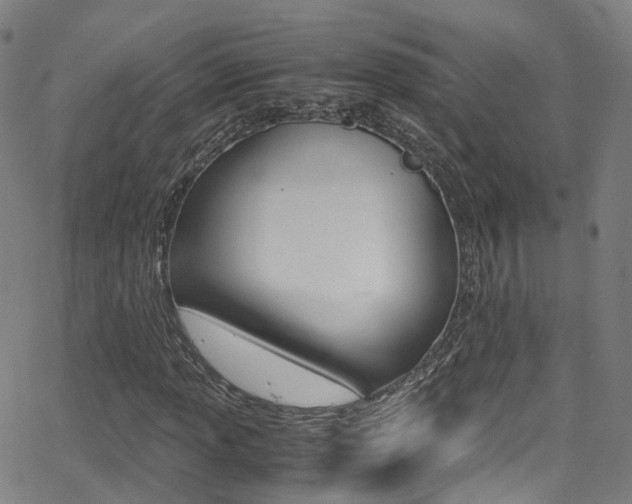X0000062921013200601131126