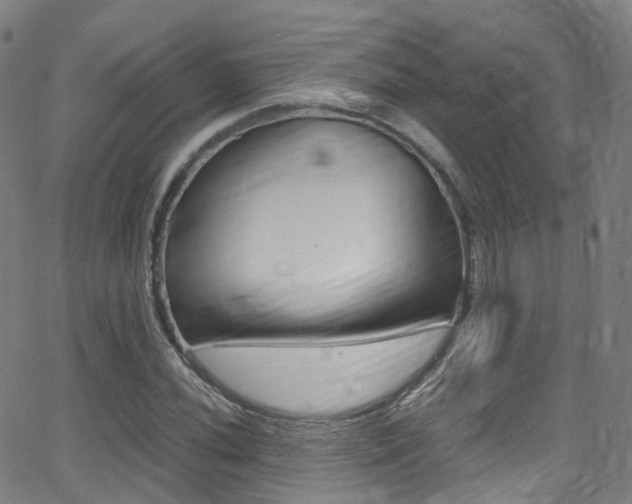 X0000062921020200601131126