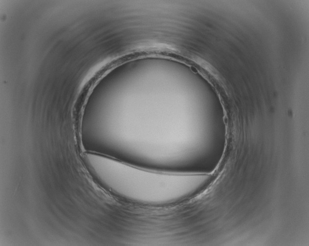 X0000062921022200601131126