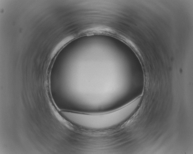 X0000062921042200601131127