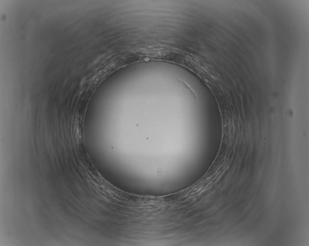 X0000062921058200601131126
