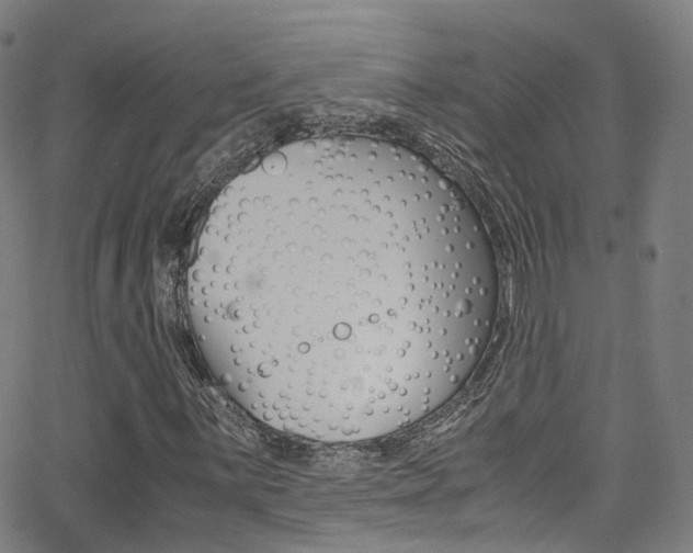 X0000062921059200601131126