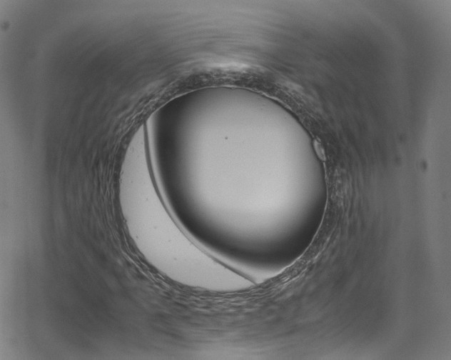 X0000062921061200601131126
