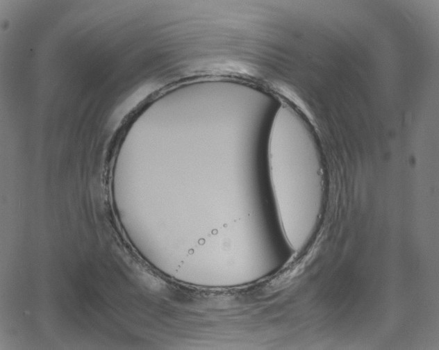 X0000062921071200601131126