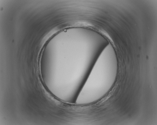 X0000062921087200601131126