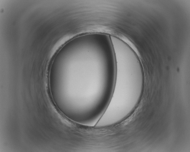 X0000062921093200601131126