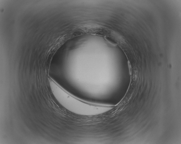 X0000062921108200601131125