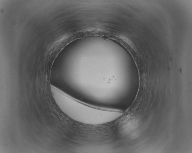 X0000062921111200601131125