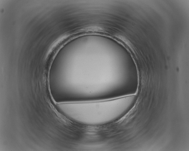 X0000062921115200601131125