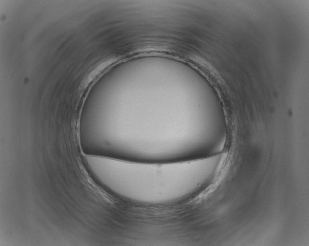 X0000062921121200601131125