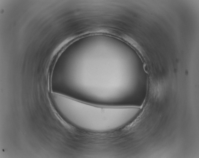 X0000062921127200601131125